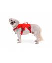 Harnesses