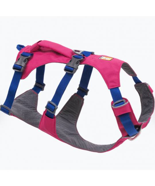 Harnesses