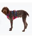 Harnesses