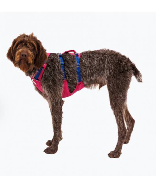 Harnesses