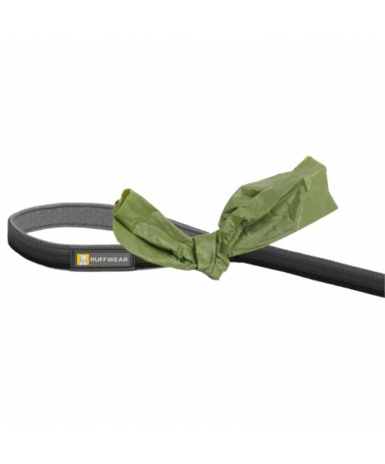 Leashes