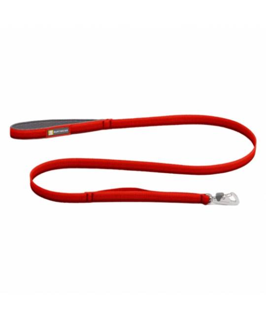 Leashes