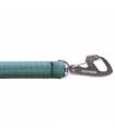 Leashes