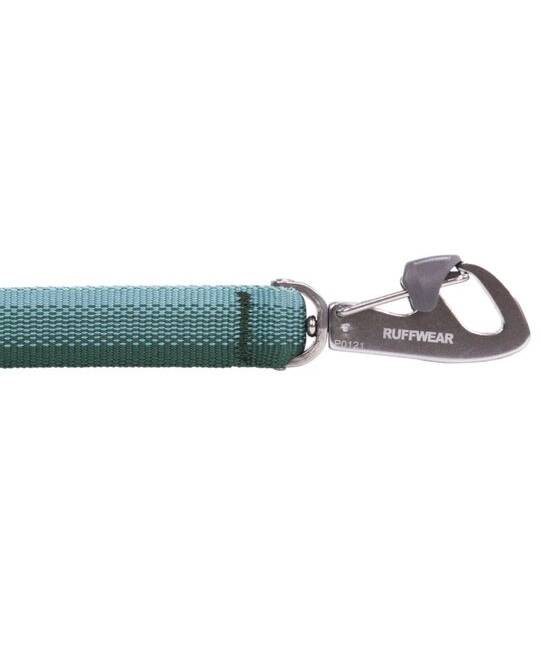 Leashes
