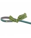 Leashes