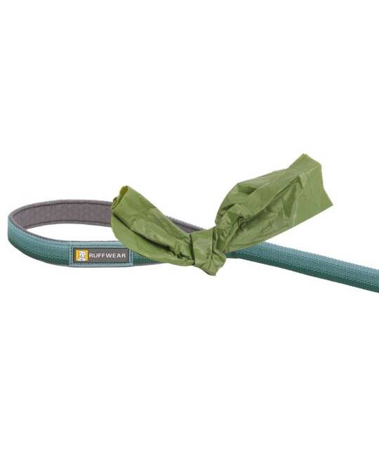 Leashes