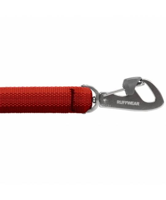 Leashes
