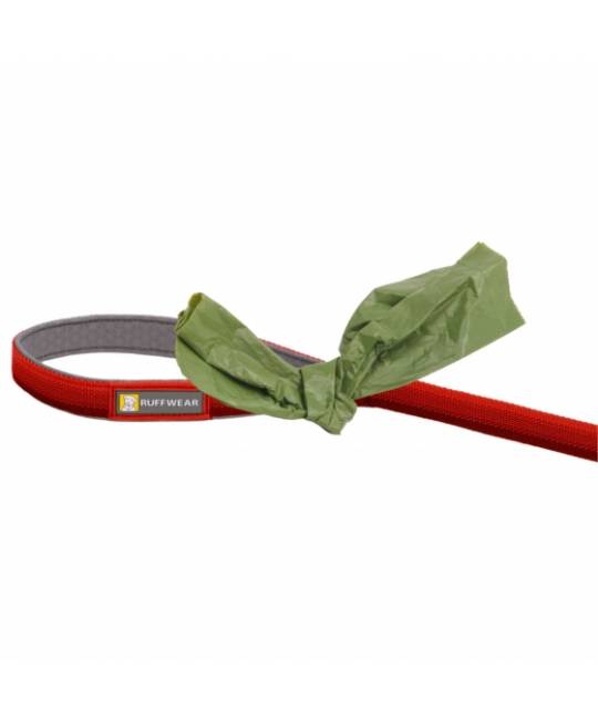 Leashes