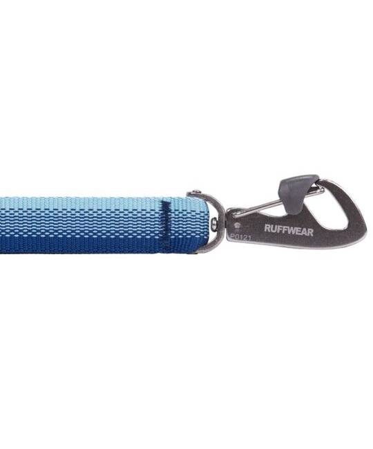 Leashes