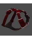 Harnesses