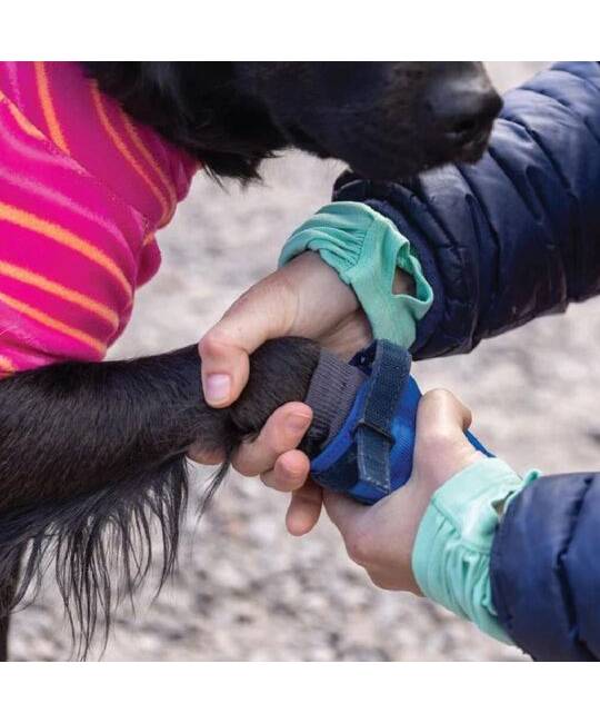 Life Jacket & Dog Apparel