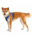 Harnesses