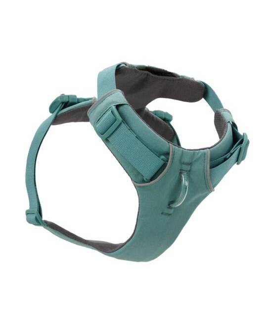 Harnesses