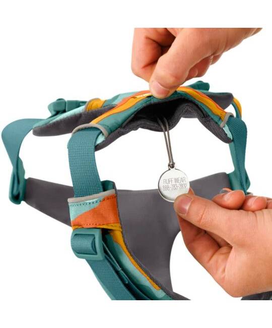 Harnesses