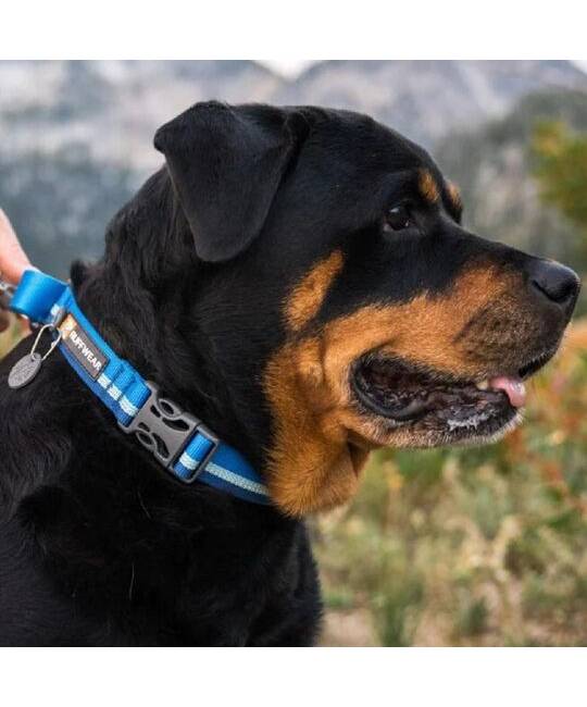 Collars