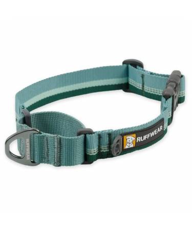 Web Reaction™ Martingale Dog Collar With Buckle (2024 colours)