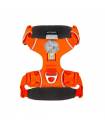 Harnesses