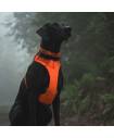 Harnesses