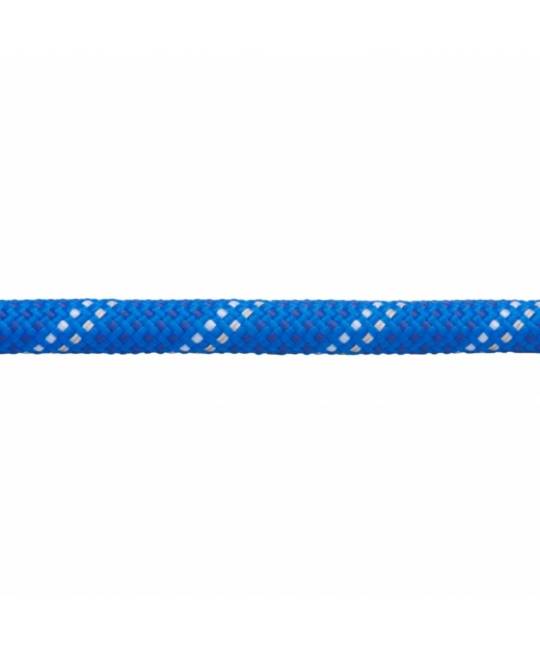 Leashes