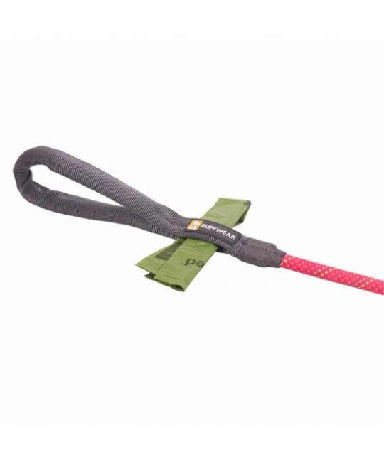 Leashes