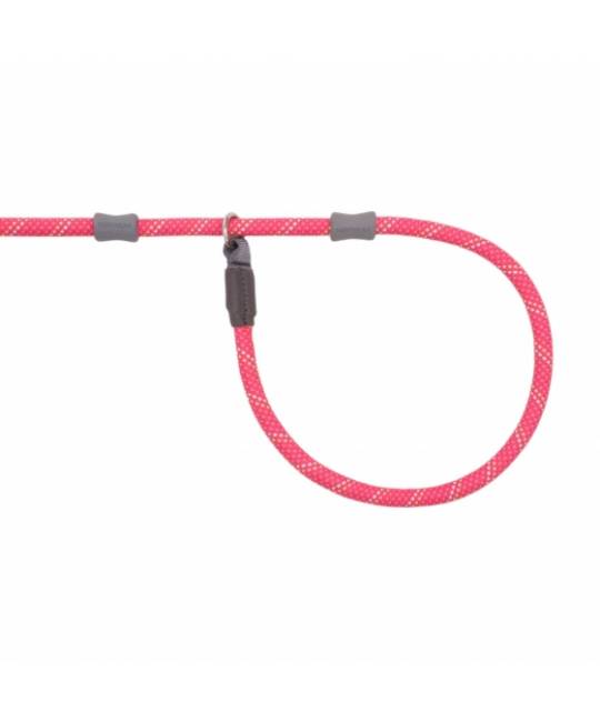 Leashes