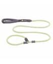 Leashes