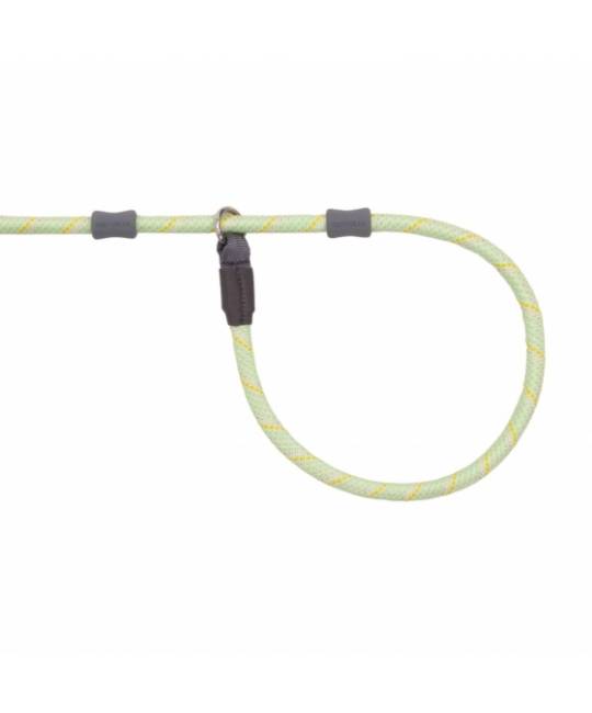 Leashes