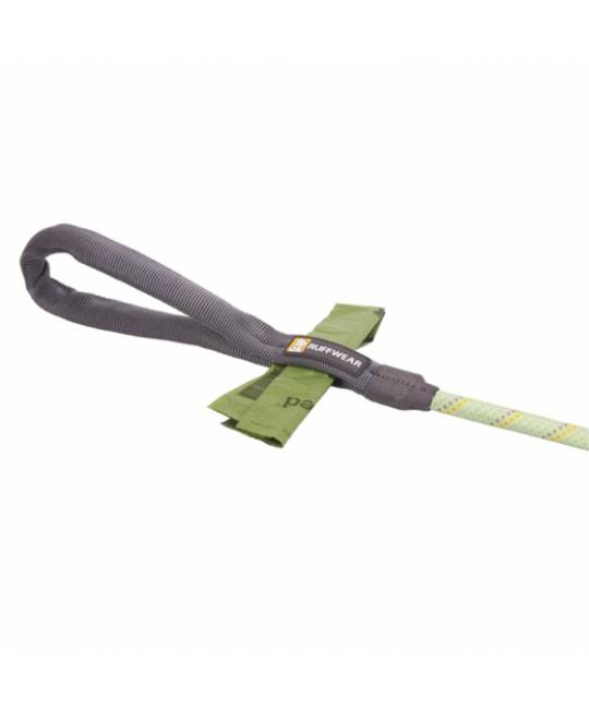 Leashes