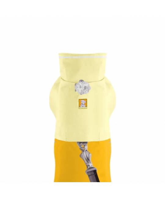 Life Jacket & Dog Apparel
