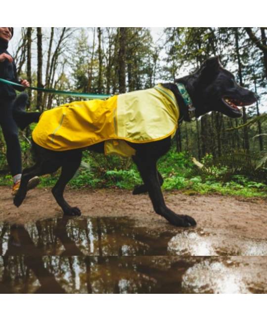 Life Jacket & Dog Apparel