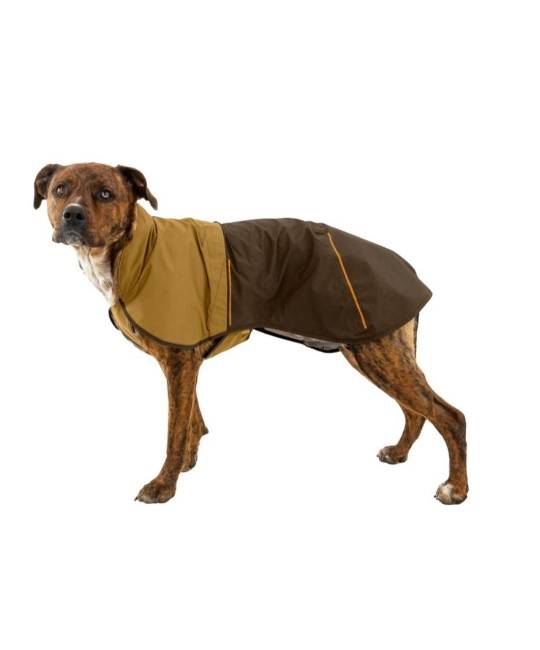 Life Jacket & Dog Apparel
