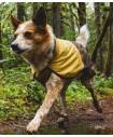 Life Jacket & Dog Apparel