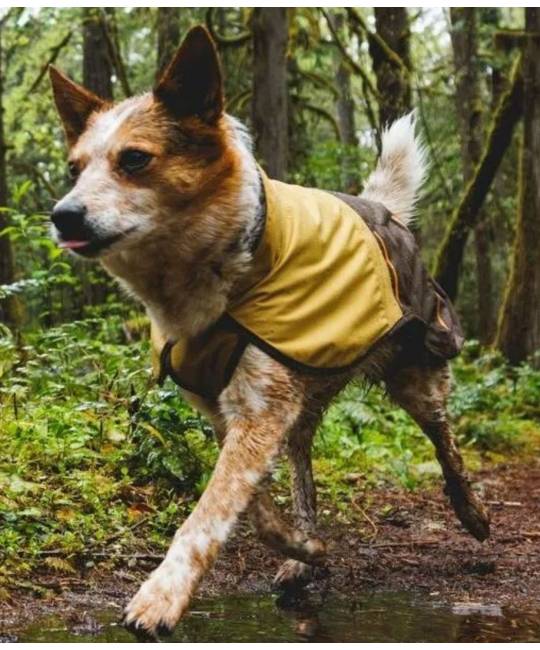 Life Jacket & Dog Apparel