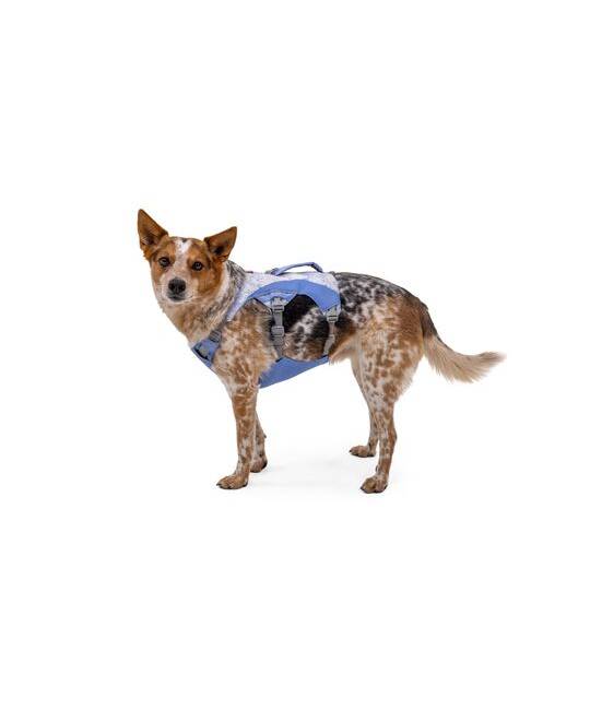 Harnesses