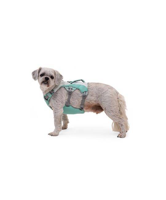 Harnesses