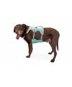 Harnesses