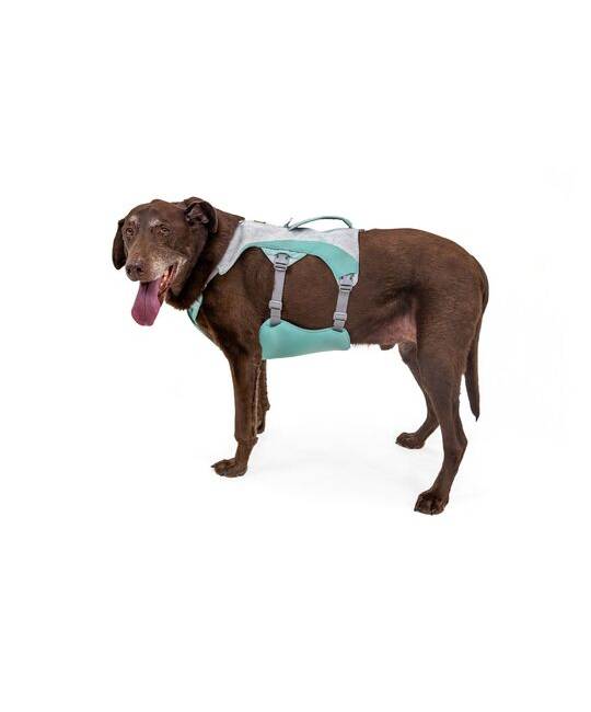 Harnesses