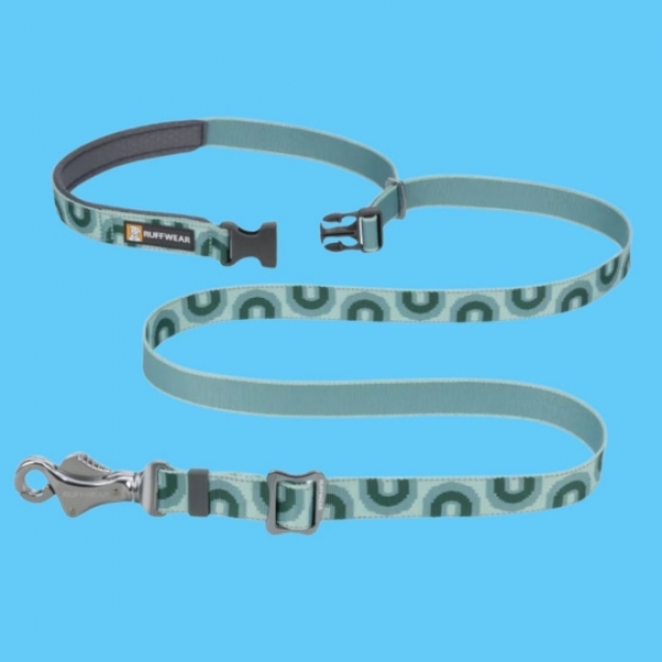 Leashes