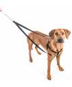 Harnesses