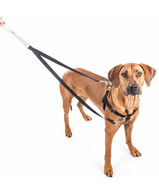 Harnesses