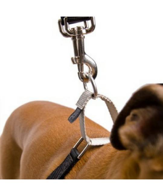 Harnesses