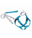 Harnesses