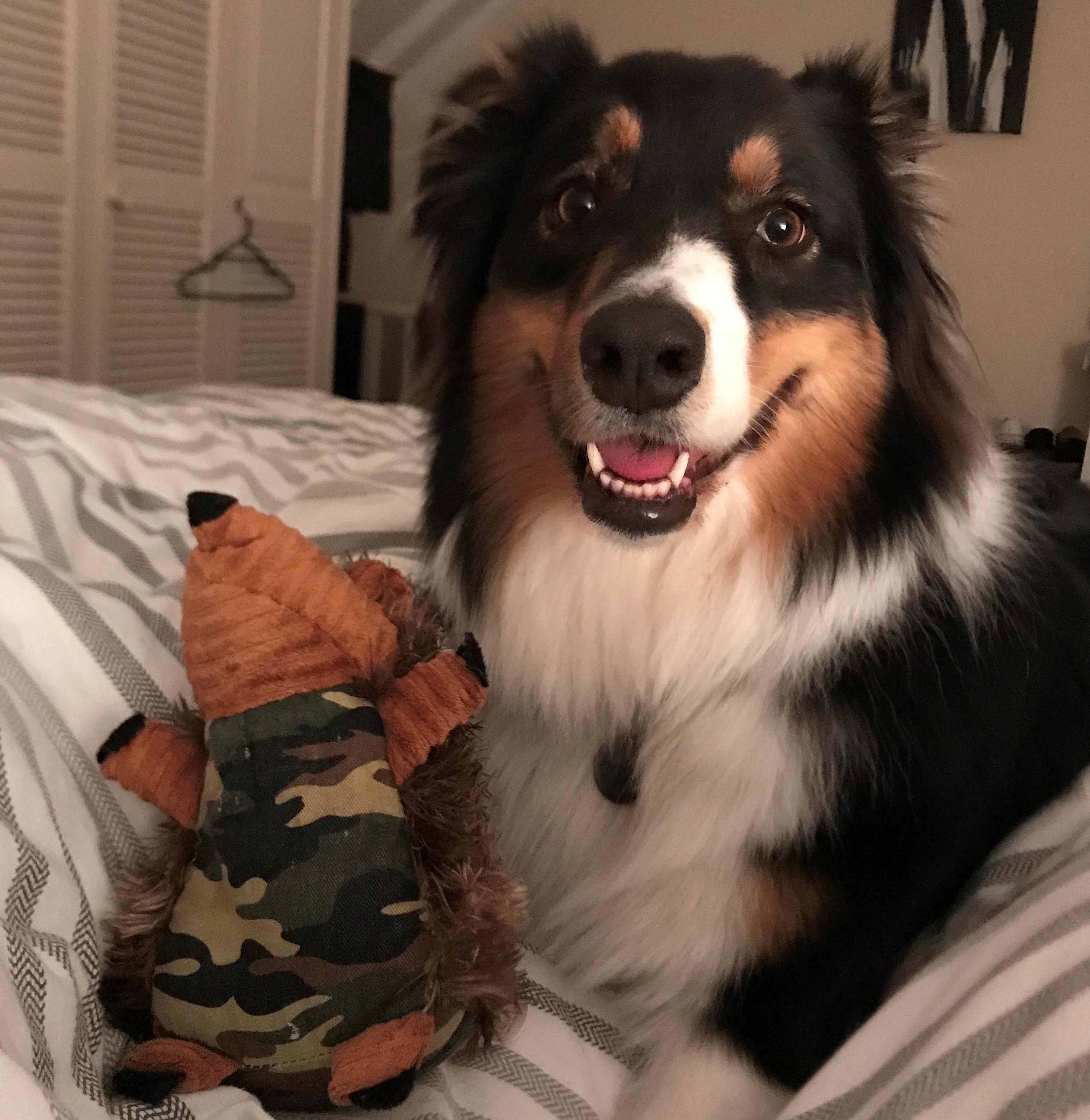ripley1