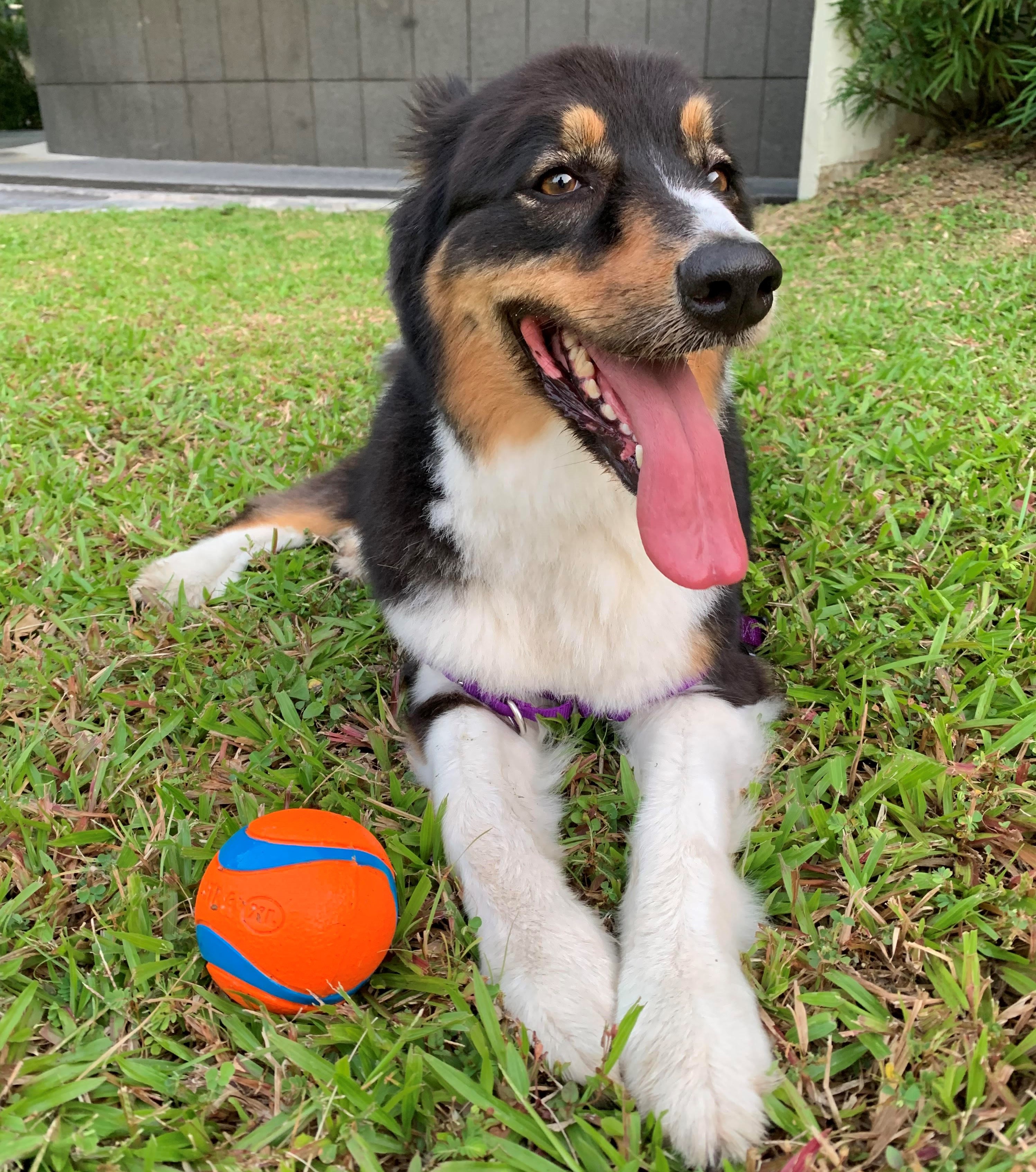 ripley2